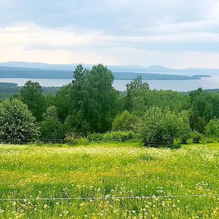 Utsikten -Exklusivt Nybyggt Timmerhus -Plintsberg. تالبيرغ المظهر الخارجي الصورة